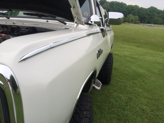 1986 Dodge Ramcharger - photo 4