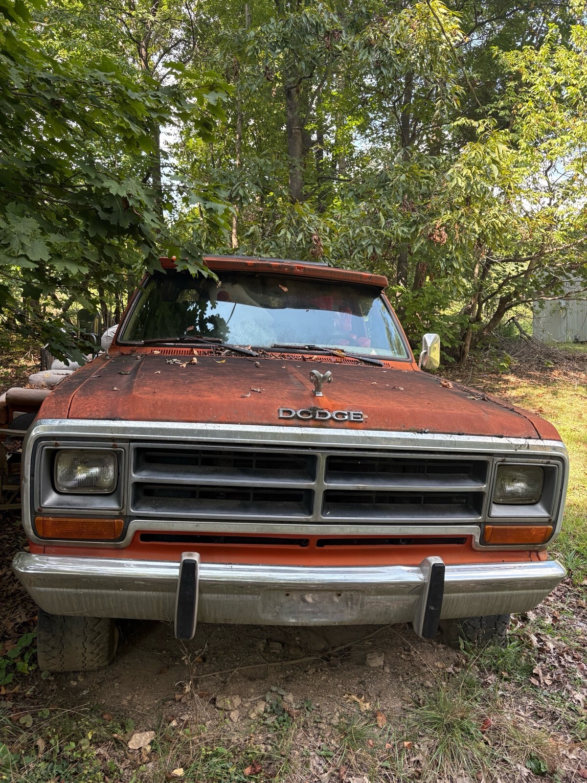 1986 Dodge Ramcharger AW-100 - photo 2