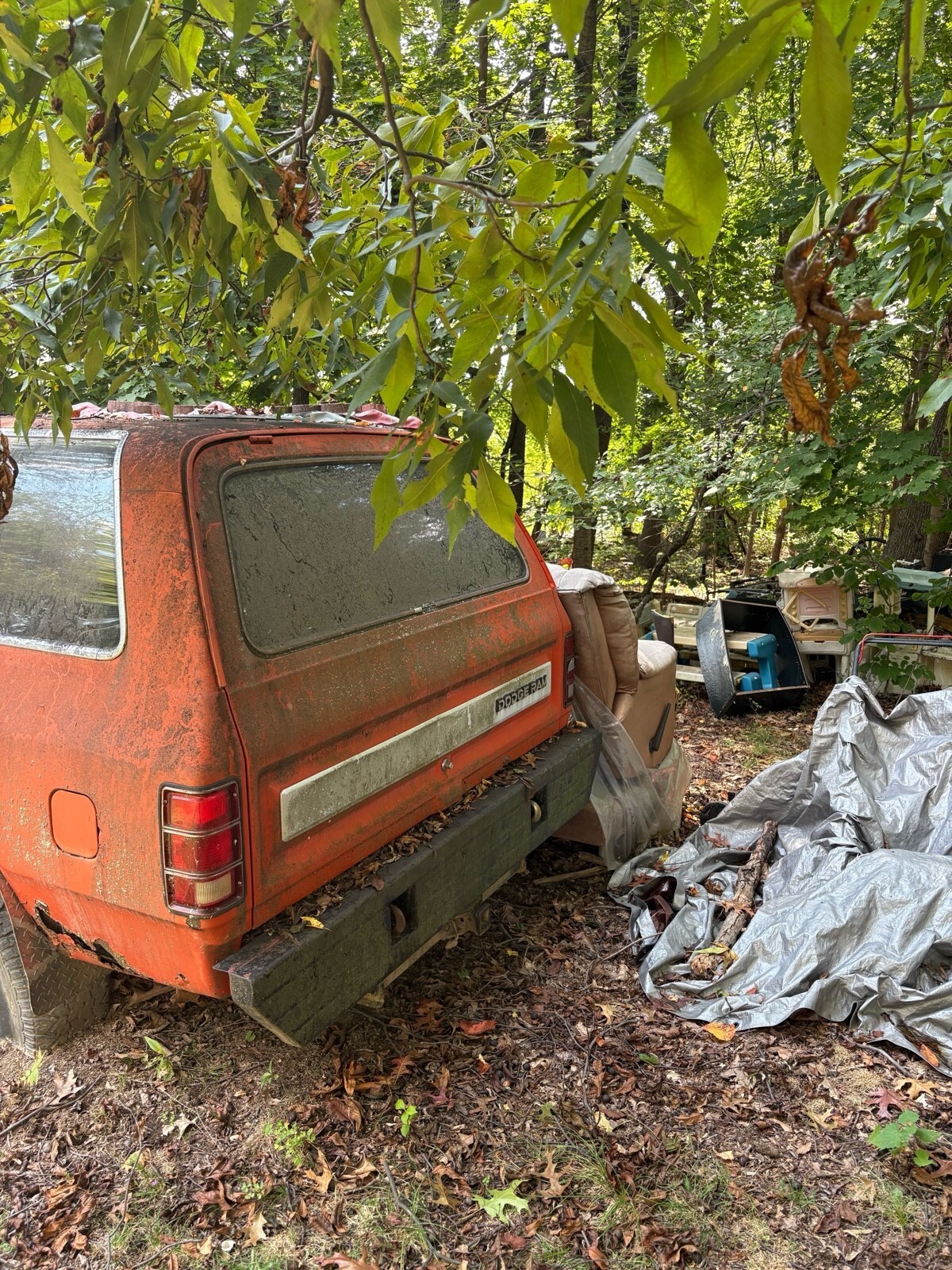 1986 Dodge Ramcharger AW-100 - photo 3