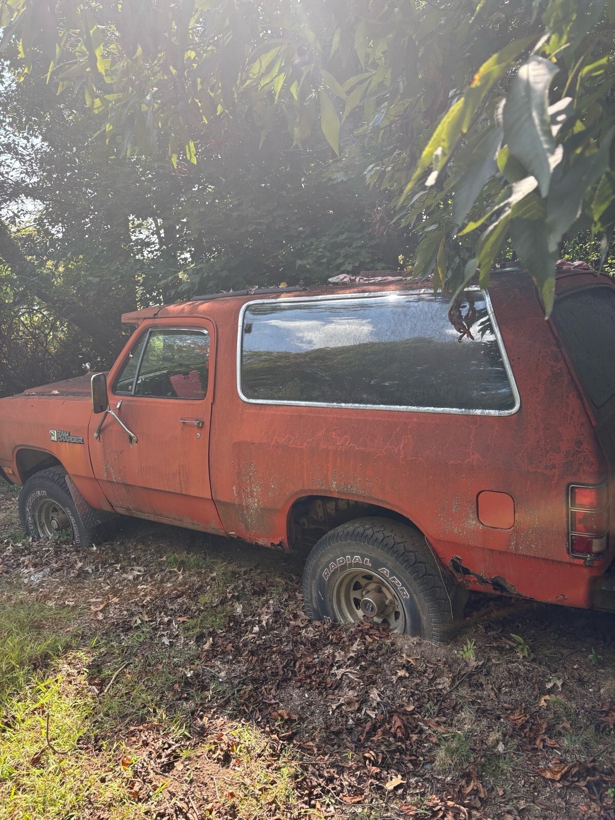 1986 Dodge Ramcharger AW-100 - photo 4