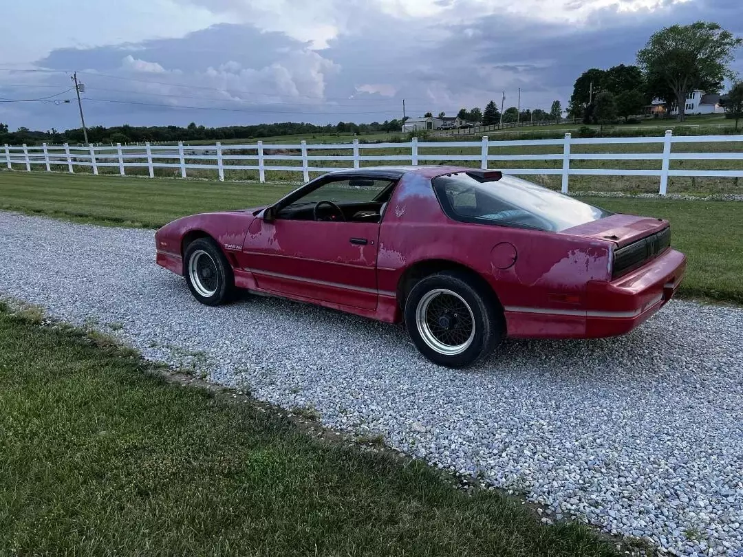 1986 Pontiac Firebird - photo 7