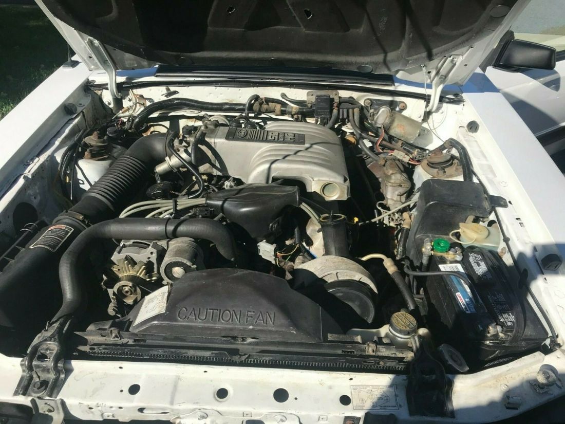 1986 Ford Mustang LX - photo 7