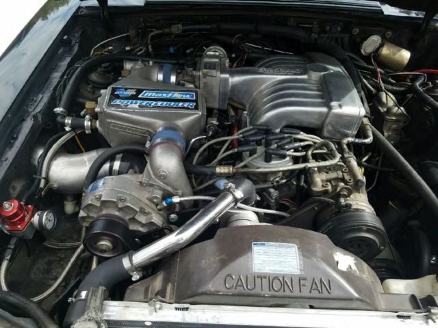 1986 Ford Mustang GT Hatchback 2-Door - photo 2