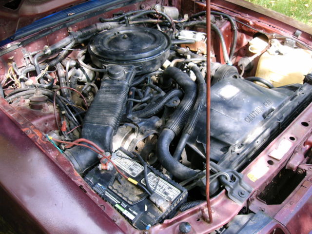 1986 Ford Mustang LX - photo 10