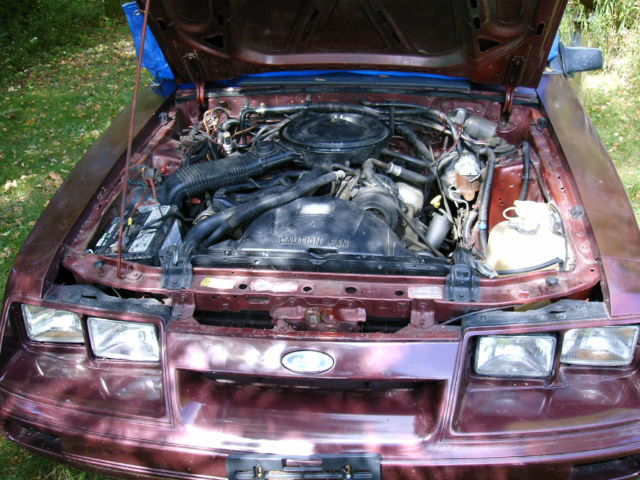1986 Ford Mustang LX - photo 11