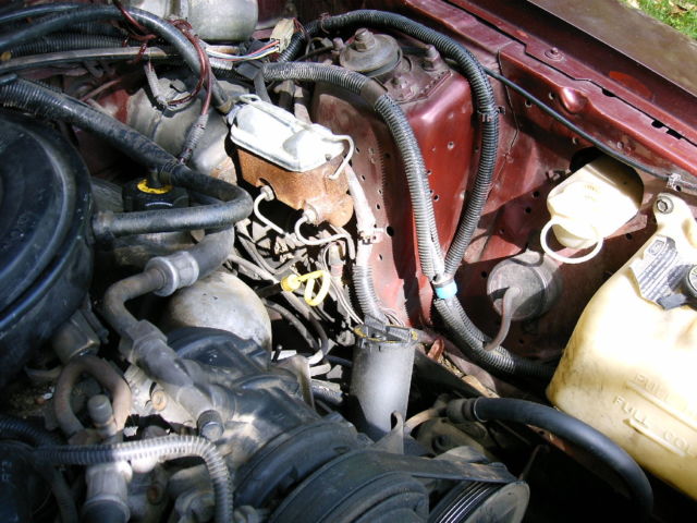 1986 Ford Mustang LX - photo 12