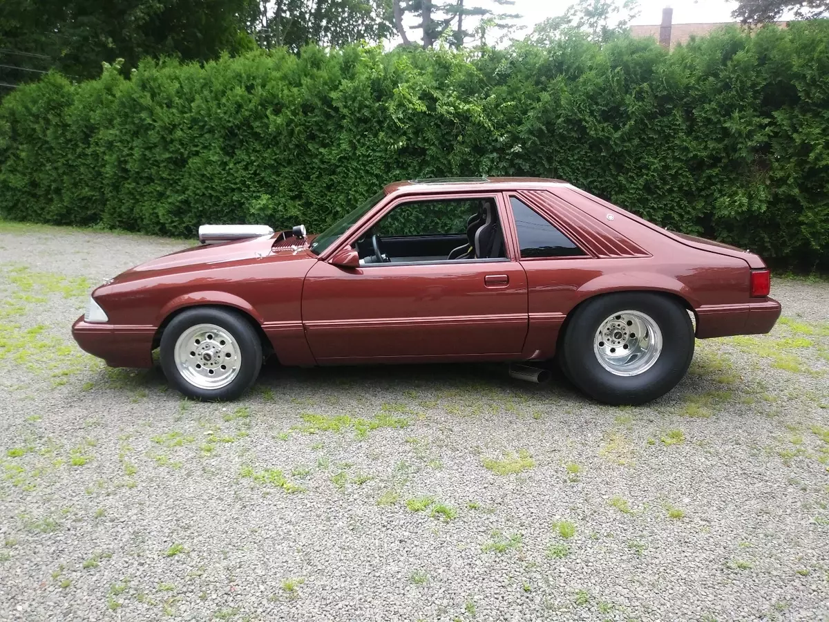 1986 Ford Mustang Sedan Brown LX 1986 Ford Mustang LX