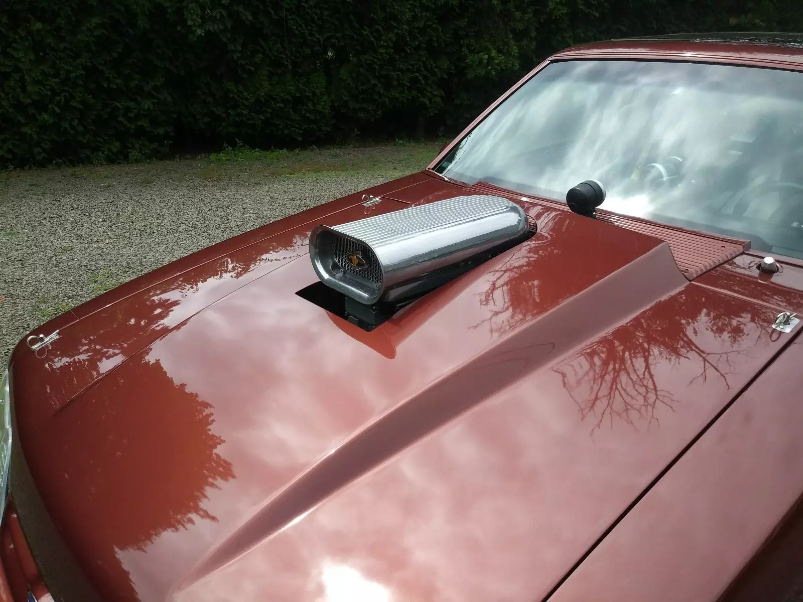 1986 Ford Mustang LX - photo 5