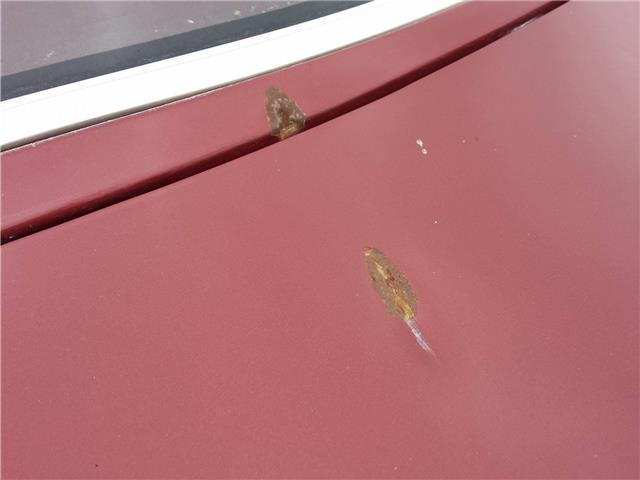 1986 Ford Thunderbird -- - photo 9