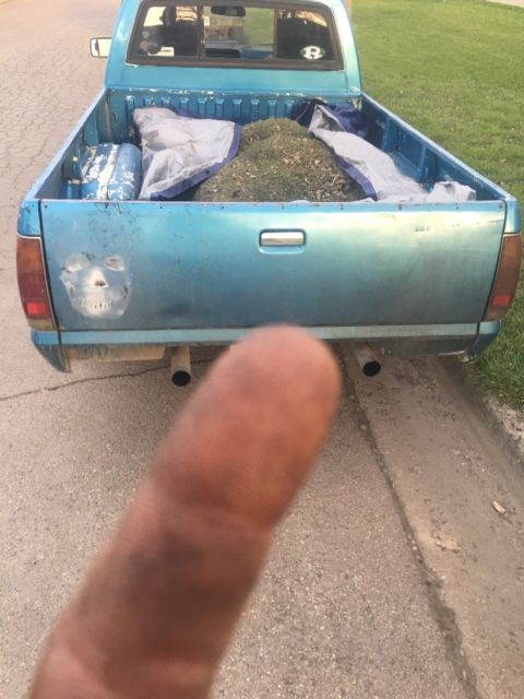 1986 Isuzu Other - photo 7