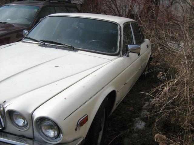 1986 Jaguar XJ6 XJ6 - photo 9