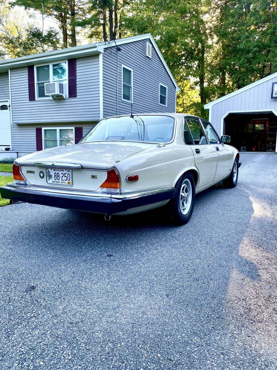 1986 Jaguar XJ6 - photo 5