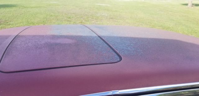 1986 Jaguar XJ6 vanderplas - photo 8
