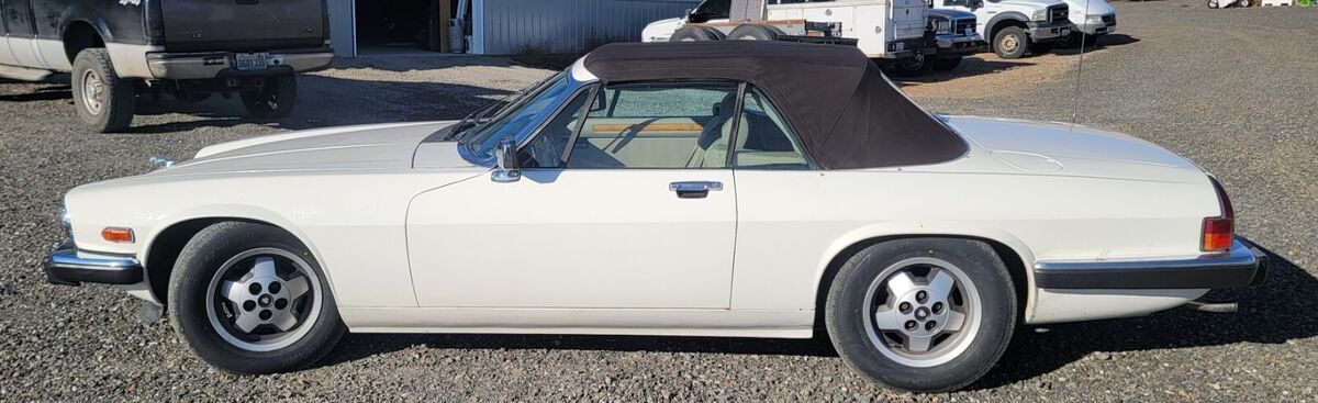 1980 Jaguar XJS - photo 2