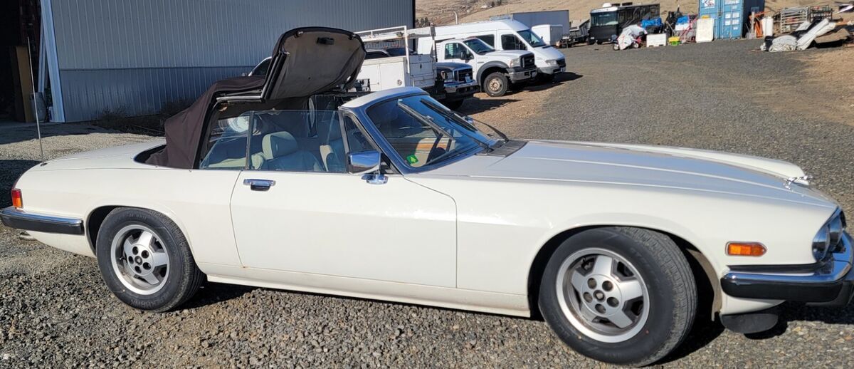 1980 Jaguar XJS - photo 4