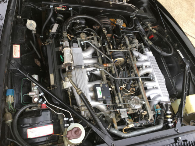 1986 Jaguar XJS XJS - photo 6
