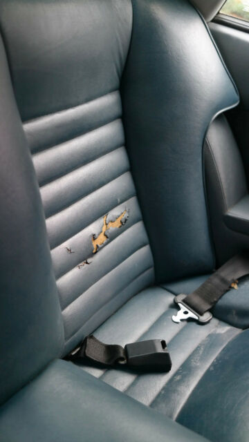 1986 Jaguar XJS - photo 7