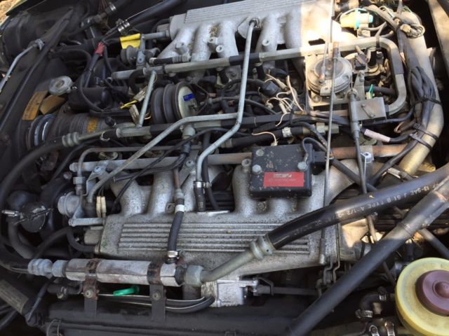 1986 Jaguar XJS - photo 11