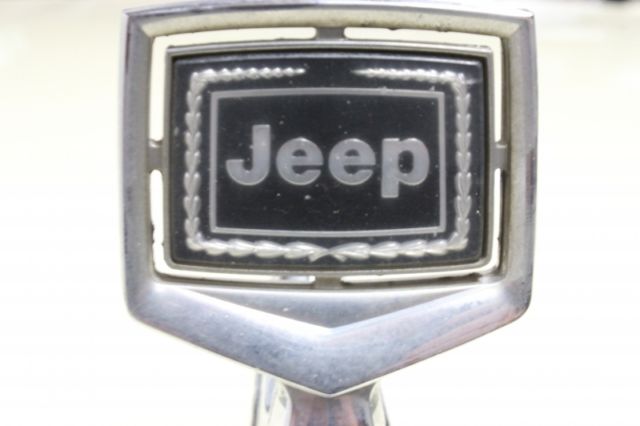 1986 Jeep Wagoneer WagonMaster - photo 11