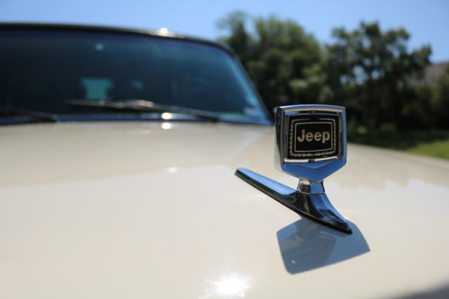 1986 Jeep Wagoneer Grand Wagoneer - photo 6