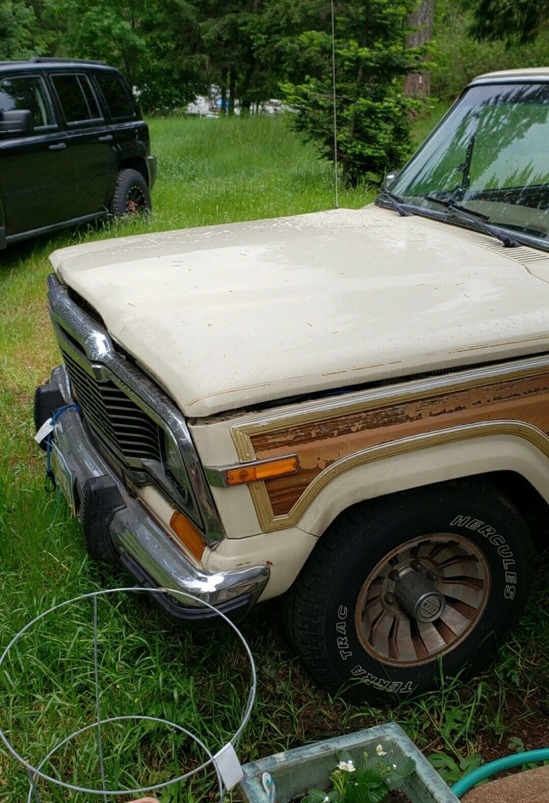 1986 Jeep Grand Wagoneer - photo 3
