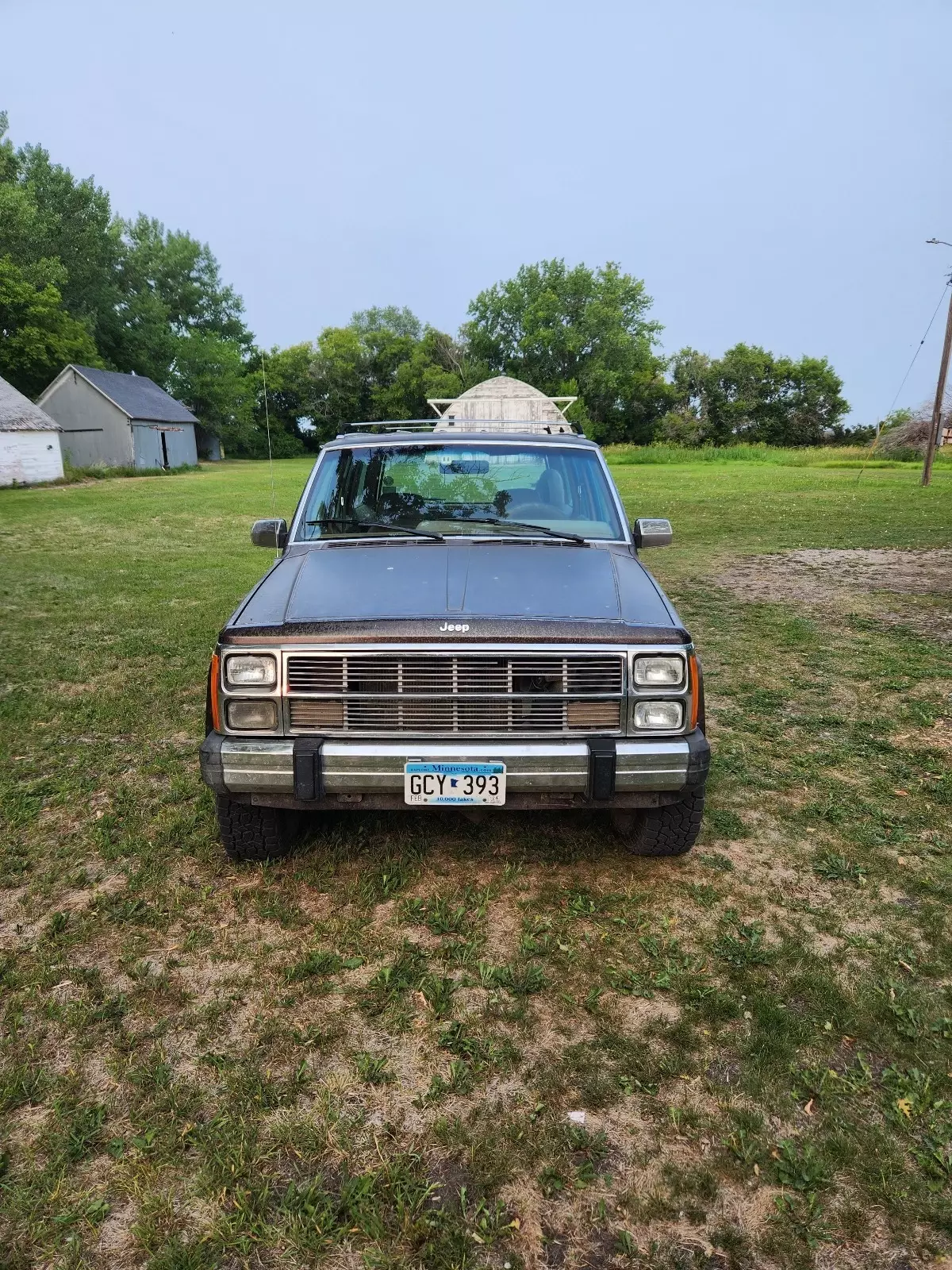 1986 Jeep Wagoneer LIMITED - photo 4