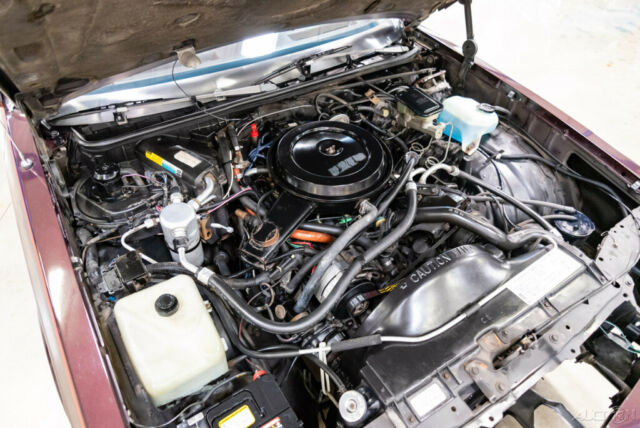 1986 Chevrolet Monte Carlo 1986 Monte Carlo CL Luxury Sport 5.0L V8 Auto 86 - photo 11