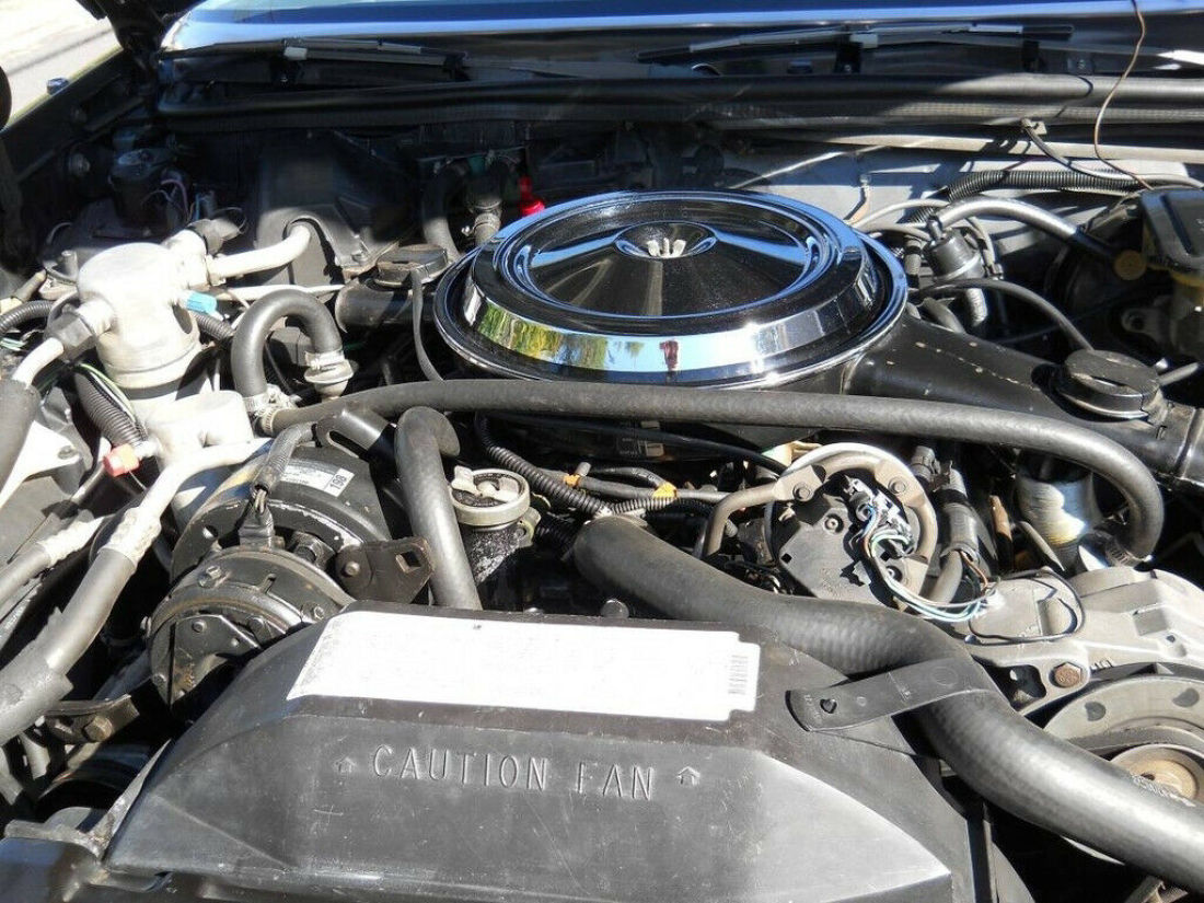 1986 Oldsmobile Cutlass - photo 4