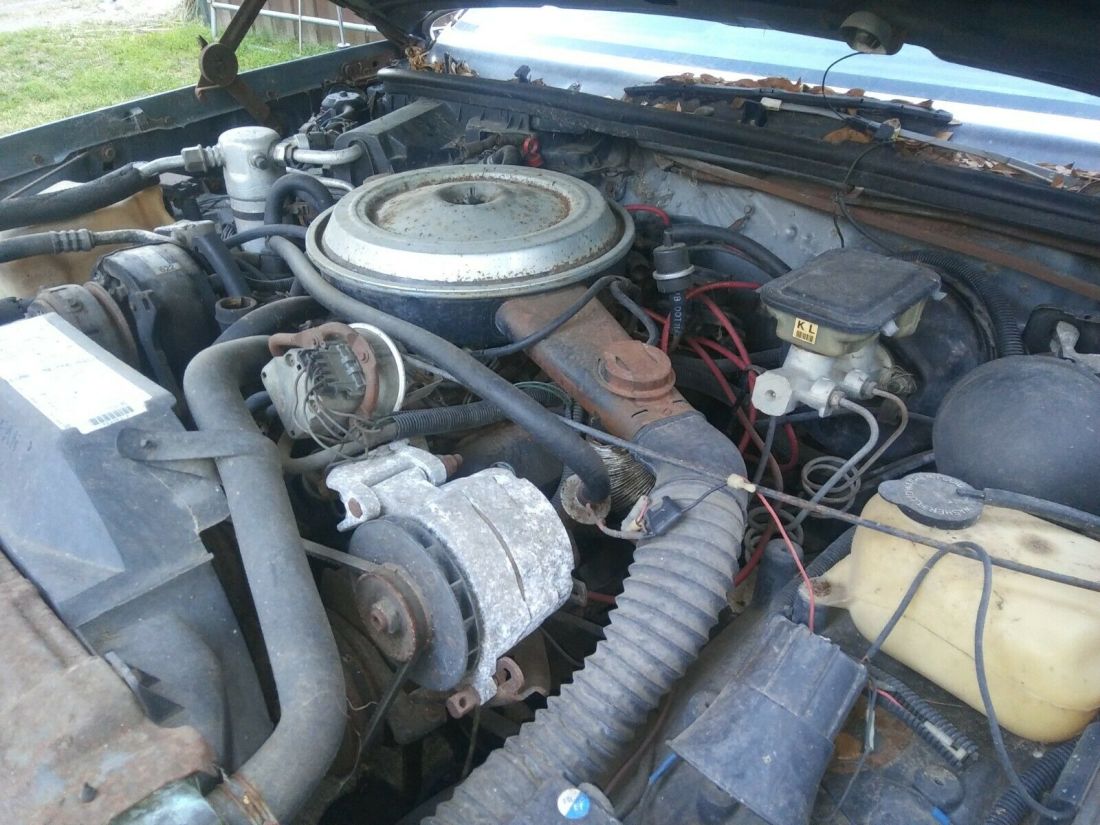 1986 Oldsmobile 442 442 - photo 8