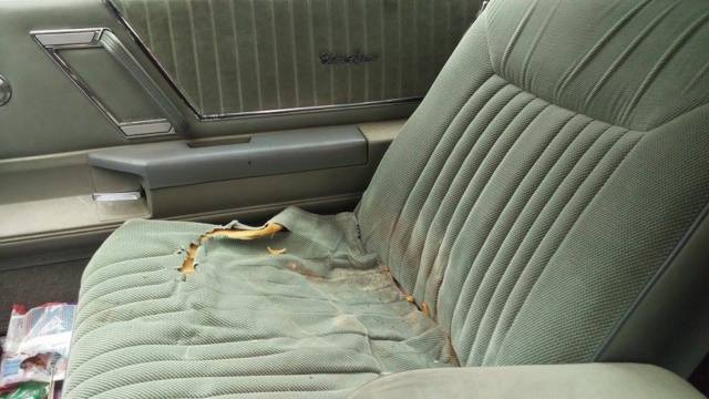 1986 Oldsmobile Cutlass - photo 12