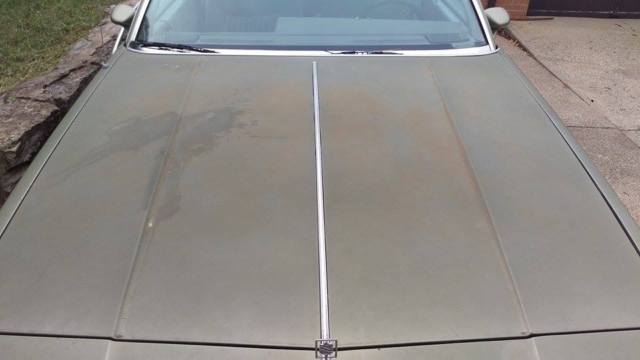 1986 Oldsmobile Cutlass - photo 13