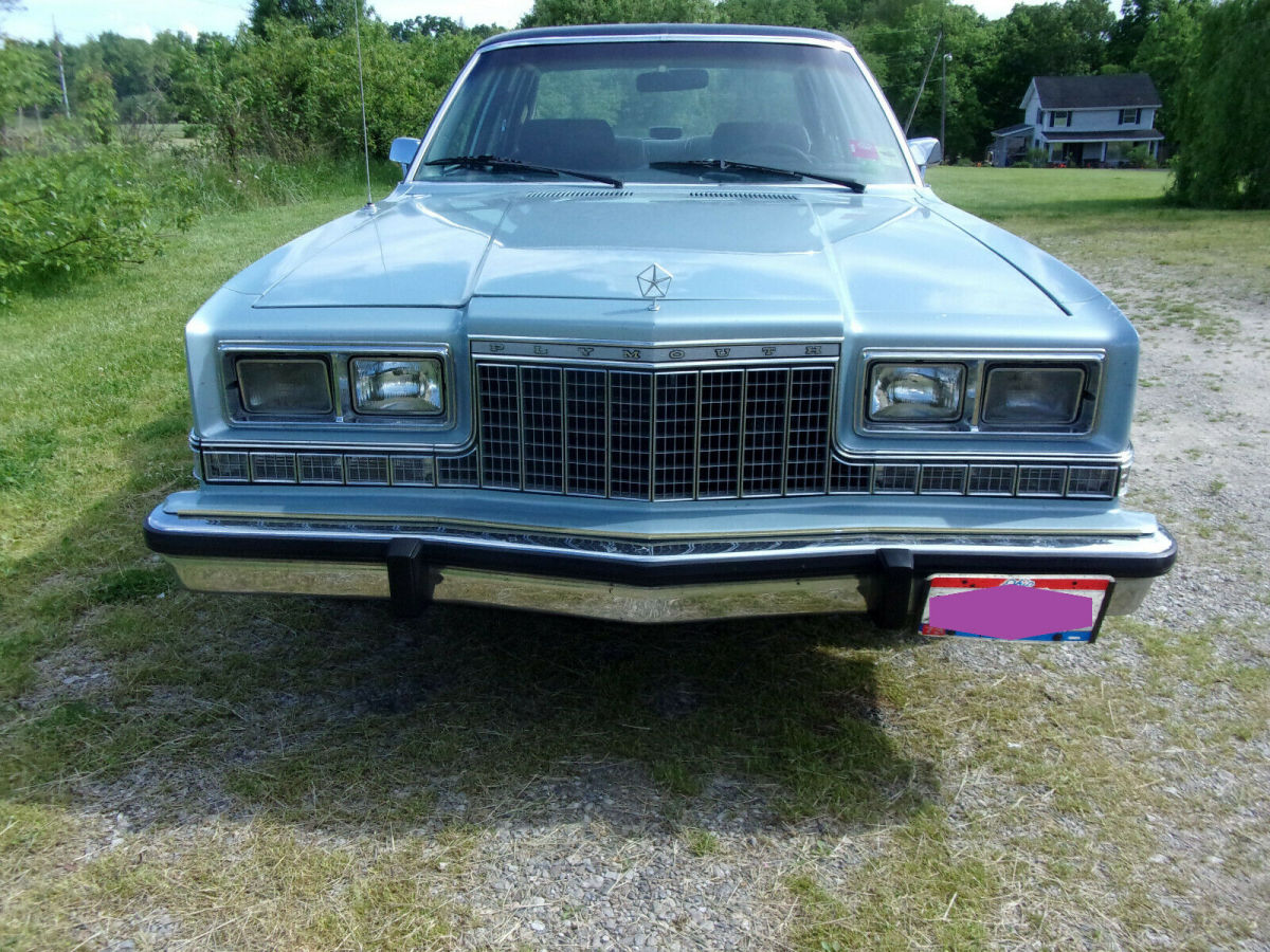 1986 Plymouth Fury - photo 3
