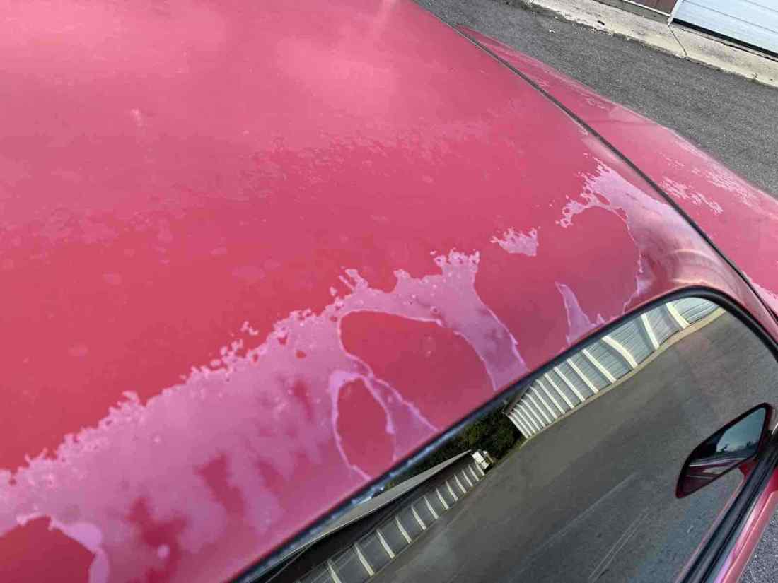 1986 Pontiac Firebird - photo 13