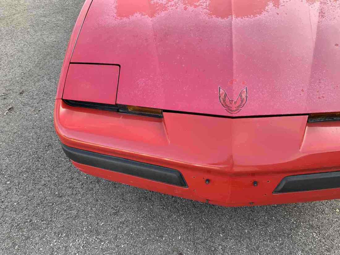 1986 Pontiac Firebird - photo 3