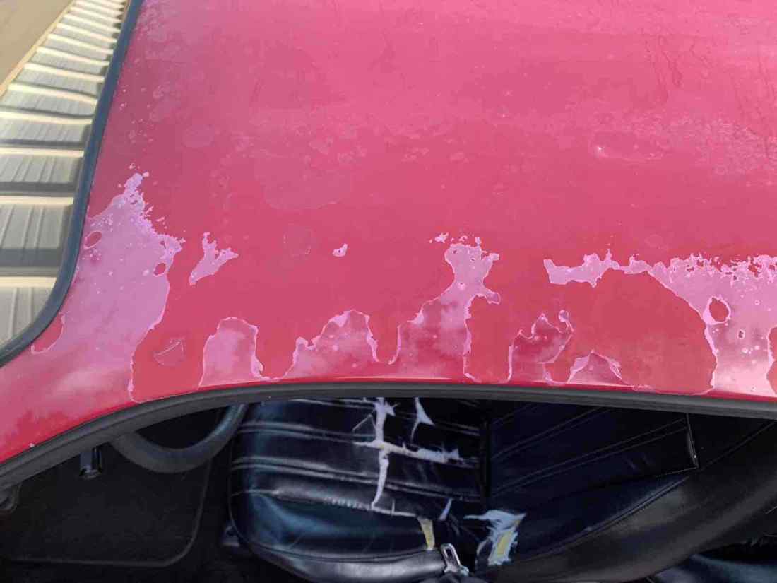 1986 Pontiac Firebird - photo 4