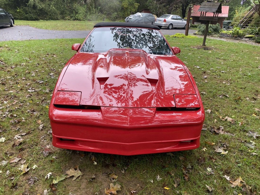 1986 Pontiac Firebird TRANS AM - photo 12