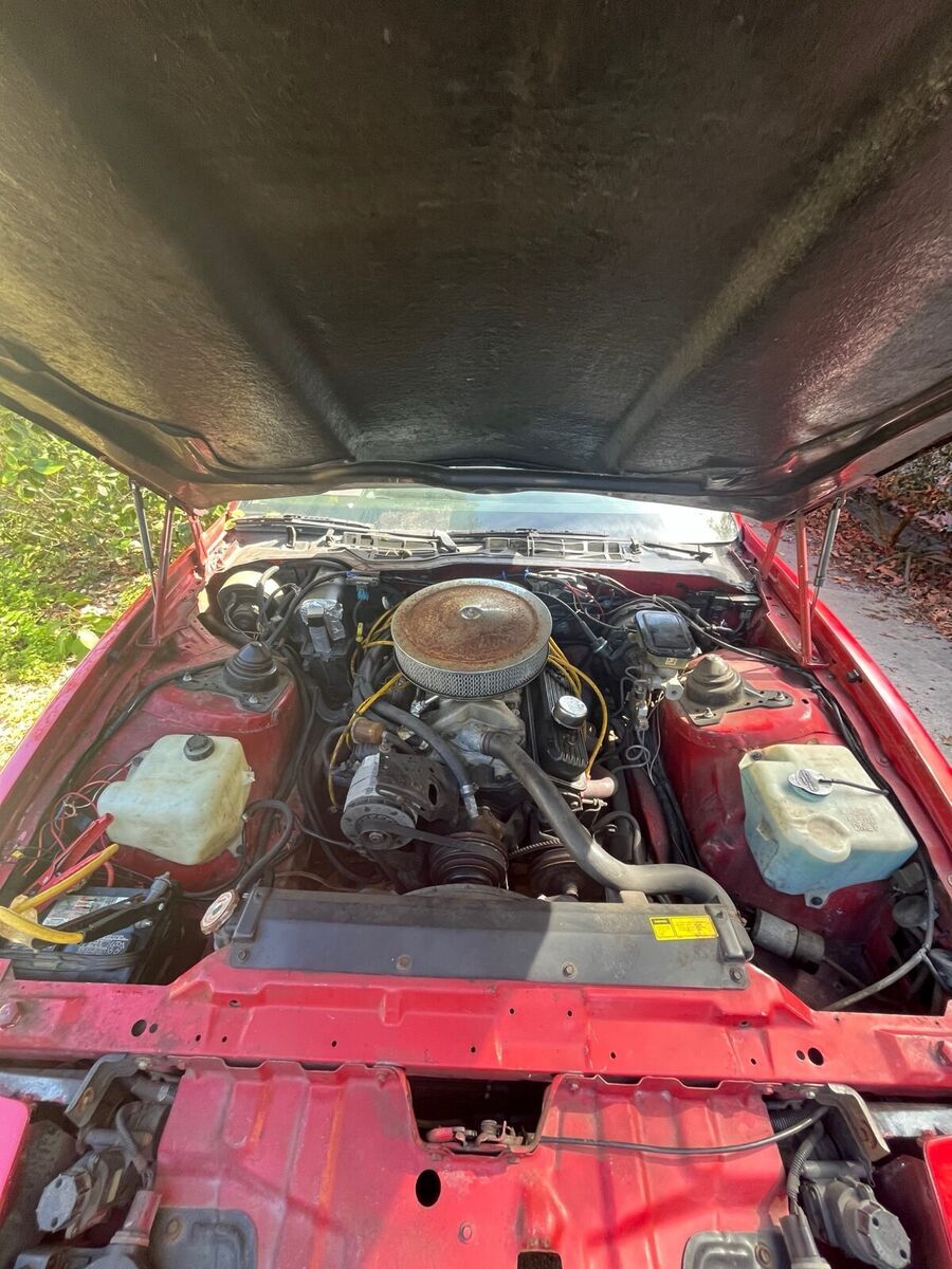 1986 Pontiac Firebird TRANS AM - photo 5