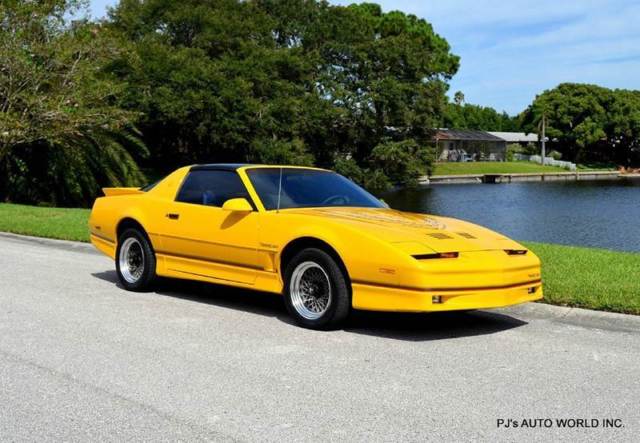 1986 Pontiac Firebird Trans Am 2dr Hatchback - photo 5
