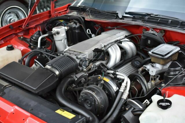 1986 Pontiac Firebird Trans Am - photo 3