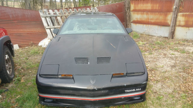 1986 Pontiac Firebird - photo 2