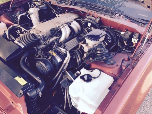 1986 Pontiac Firebird Trans Am - photo 7