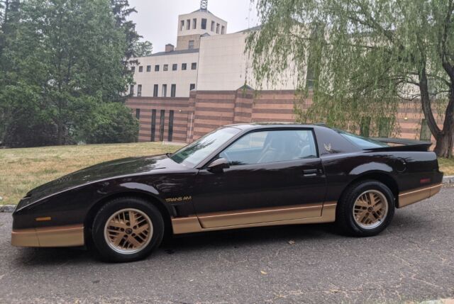 1986 Pontiac Firebird TRANS AM - photo 10