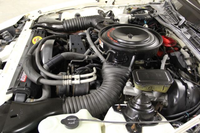 1986 Pontiac Trans Am - photo 2