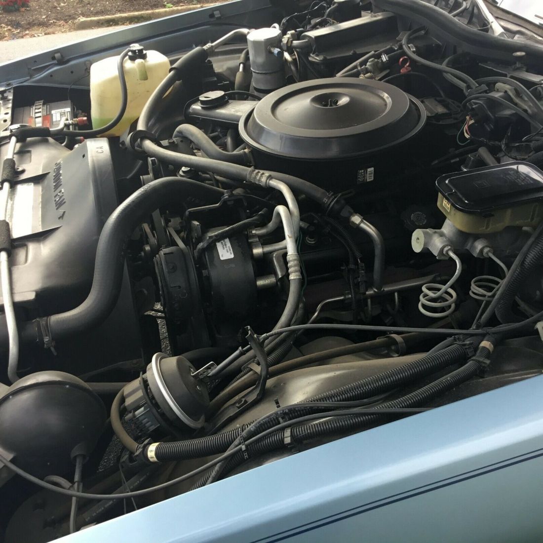 1986 Pontiac Bonneville Brougham - photo 12