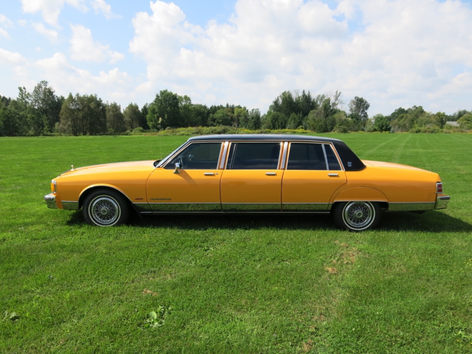 1986 Pontiac Parisienne six door - photo 4