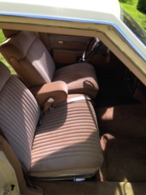 1986 Pontiac Parisienne - photo 11
