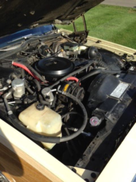 1986 Pontiac Parisienne - photo 2