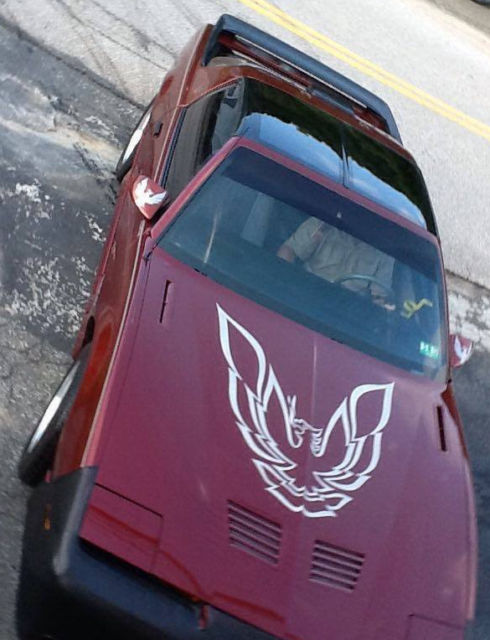 1986 Pontiac Trans Am Factory Decal Bird Kit - photo 4