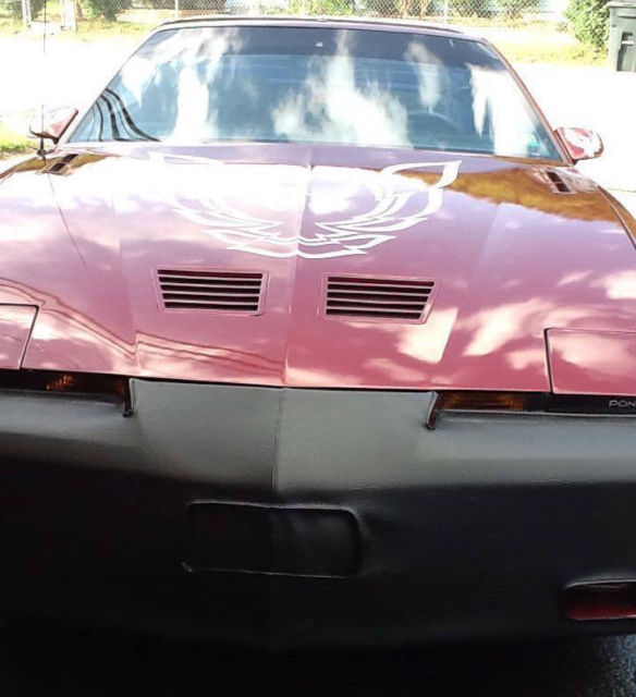 1986 Pontiac Trans Am Factory Decal Bird Kit - photo 7