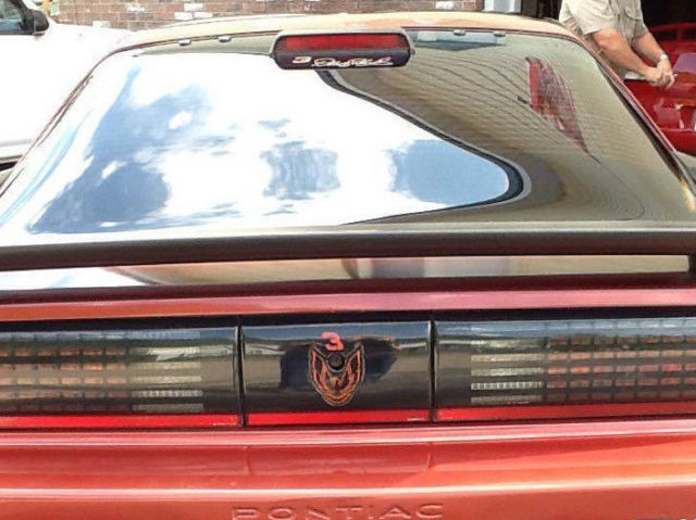 1986 Pontiac Trans Am Factory Decal Bird Kit - photo 9